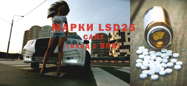 ECSTASY Майский