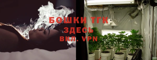 ECSTASY Майский