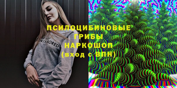 ECSTASY Майский