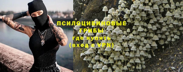 ПСИЛОЦИБИНОВЫЕ ГРИБЫ Мурманск