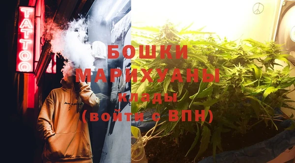 ECSTASY Майский