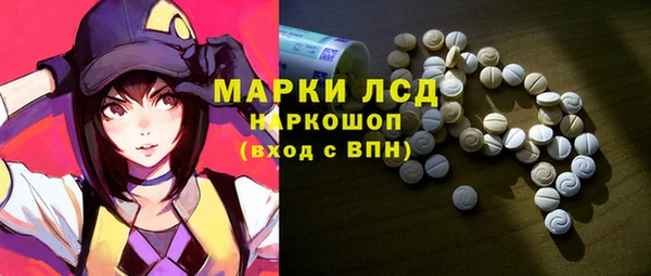 ECSTASY Майский